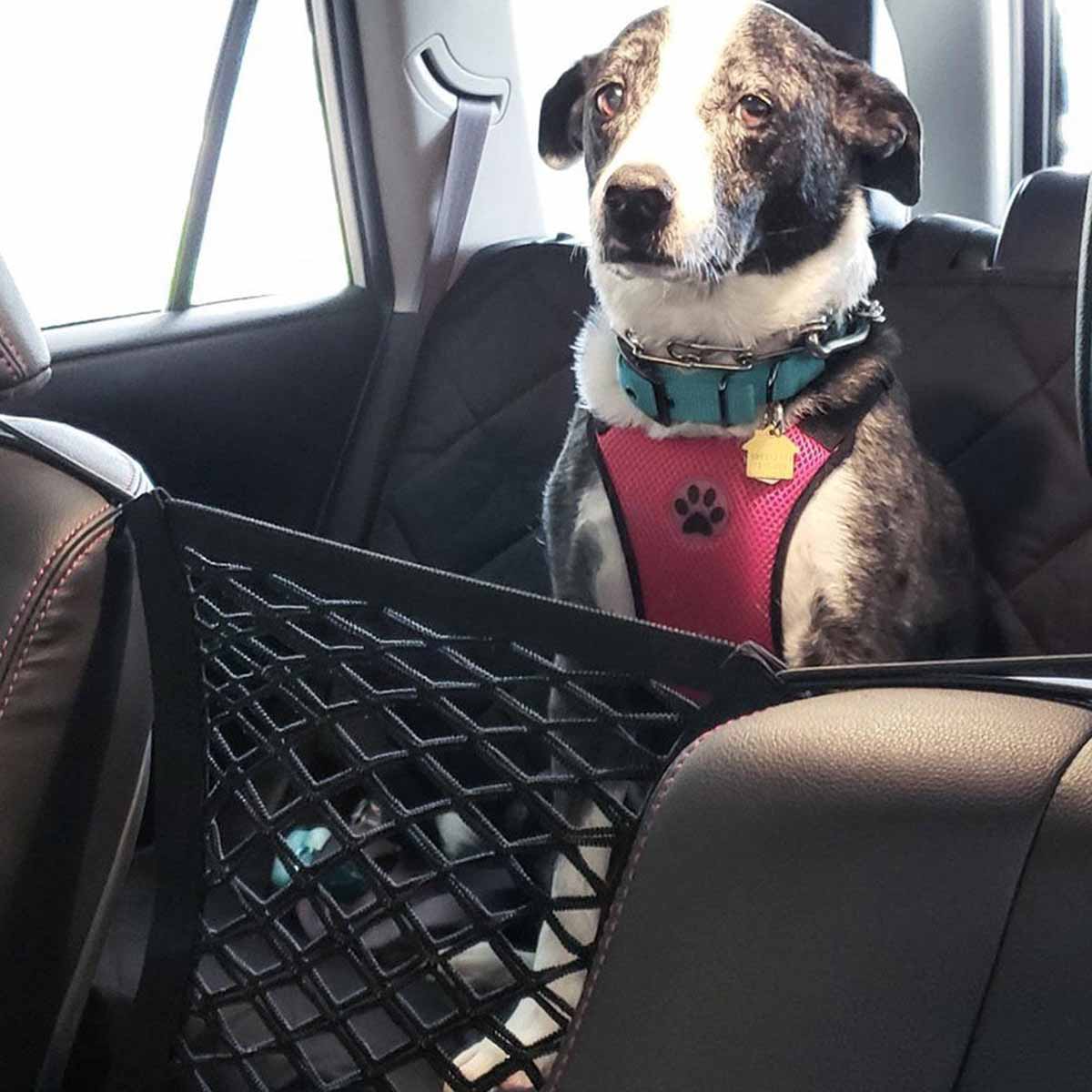 Pet Köpek Arka Koltuk Araba Çi - Partition Screen Divider incelemesi ve fiyatı